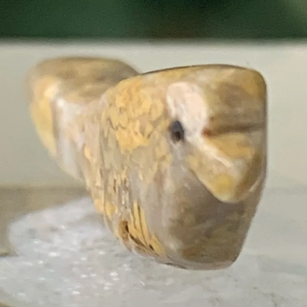 Vintage Native American Bird Fetish Bead Miniature Carved Stone Drilled Animal 1